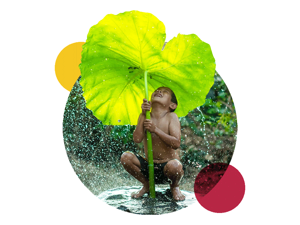 carbon neutral sign language services symbolized by a boy holding a big leaf in the rain